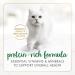Fancy Feast Chunky Wet Cat Food Chicken Feast - 85 g Can (24 Pack) - Buy Online on GoSupps.com