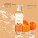  G n rique Persimmon Body Wash Natural Deodorizing Soap 120 ml Skin Cleanser Persimmon Smelly Feet Deodorizer Cleansing Lotion Strong Odor Control for Men and Women - Buy Online on GoSupps.com