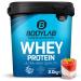 Bodylab24 Whey Protein Powder Pannacotta 2kg Pannacotta 2 kg (1 pack)