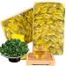 250g th th Oolong chinois TiKuanYin th vert th Tieguanyin