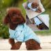 Fashion Dog Hoodie | Pure Cotton Sweatshirt for Small & Medium Dogs | Stylish Streetwear for Cats & Puppies - Black/Light Blue XS - Buy Online on GoSupps.com