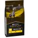 Purina Ppvd Canine Neurocare Dog Food Bag 3 kg - Buy Online on GoSupps.com