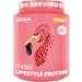 BIRDMAN Fitmingo Vegan Protein Powder with Inositol, Collagen Boosters, Hyaluronic Acid and Vitamins | Low Carb, Dairy Free, Lactose Free, Low Calorie | 23g Plant Based Vanilla Protein Powder