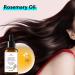 Organic Rosemary Oil for Hair Growth - 30ml Hair Care & Anti-Hair Loss Essential Oil - Buy Online on GoSupps.com