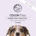 Annimally Probiotics for Dogs - 1.5 Billion KBE 120 Tablets for Healthy Gut & Diarrhea Relief - Boost Immune System - Buy Online on GoSupps.com