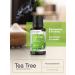 Horb ach Tea Tree Essential Oil 15mL | Therapeutic Grade for Massage Bath DIY & More | International Shipping Available - Buy Online on GoSupps.com