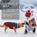 Kuoser Windproof Warm Dog Coat - Reflective Jacket for Small & Large Dogs - Winter Blue XXXL 3XL - Buy Online on GoSupps.com