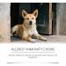 Comprim s Croquer De Vitamines pour Animaux De Compagnie pour Chiens Et Chats Nutrition Quotidienne Soutien d'un Pelage Sain Soins des Articulations Multivitamines M cher - Buy Online on GoSupps.com