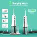 TUREWELL Water Flosser - 300ML Portable Teeth Cleaner 6 Modes IPX7 Waterproof Oral Irrigator for Travel & Home - Ideal for Braces (White - Buy Online on GoSupps.com