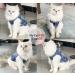 Blue Denim Dog Jean Jacket - Funny & Cool Puppy Vest Shirt for Small Medium Dogs (XS) - Buy Online on GoSupps.com