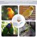 TYVOM 2PCS Poultry Drinker Bird Food Feeder for Cage Bird Waterer Feeder Cage Accessories for Parrots Cockatiel Pigeon Sparrow Bird Cage Bowl(White) - Buy Online on GoSupps.com