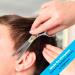 Equinox Professional Razor Edge Series 6.5 Hair Cutting & Thinning Scissors Set - Buy Online on GoSupps.com