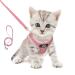 TwoEar Dog Vest Harness Reflective, No-Pull Pet Harness Easy Control with Breathable Mesh, Soft Puppy Step-in Harness No-Choke for Outdoor Walking, Training for Small Dogs XXXS(Neck:10.2-11.4"/Chest:11.4-12.6") Pink