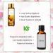 Purify Your Space with PHATOIL Mango Fragrance Oil - 10ml for Diffuser, Aromatherapy, Soap, Candle Making - Pack of 1 - Buy Online on GoSupps.com