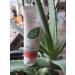 LR Aloe Vera Protective Propolis Cream (100ml) 100 ml (1 pack)