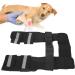 Pet Leg Support Dog Knee Pad Front Leg Protective Brace Support Pet Gear for Injury Surgery Recovery M - Buy Online on GoSupps.com