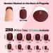 288PCS Matte Short Square False Press On Nails Pack #1 - Solid Color Acrylic Squoval Nail Tip Kit with Stickers, Tabs, Prep Pads, Nail File, Cuticle Stick | 01-12SJZJP Pack 1 - Buy Online on GoSupps.com