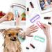 4 Pcs Nail Cleaning Brush Larbois Plastic Handle Scrubbing Brush Eco Friendly Fingernail Brush with Soft Bristles Nail Manicure Dust Brush for Hand Toes Nail Home Garden Salon use Color-1-(4 Pack) - Buy Online on GoSupps.com