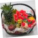 Ciieeo 4pcs String Simulated Cherry Tomatoes Kids Educational Toy Simulation Realistic Foam Food Mini Toys Decorative Cherry Tomatoes Faux Pvc Red Child Household Small Tomatoes Redx4pcs 18X16CMx4pcs - Buy Online on GoSupps.com
