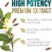 Nature's Green Tea Extract Pills 1000mg - 98% EGCG for Natural Energy & Heart Health - Vegan Non-GMO Herbal Supplement - 60 Capsules - Buy Online on GoSupps.com
