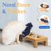 Supet Rewrise Adjustable Hinged Cat Collar - Post-Surgery Recovery Cone for Cats (Cosmic S - Neck: 14-23cm) - Buy Online on GoSupps.com