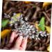 ifundom crystal inlaid hair comb rhinestone flower combs hair combs hair accessories for women wedding pearl hair clips Bridal Crystal Hair Comb bride Wedding dress wedding flowers Alloy - Buy Online on GoSupps.com