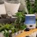 LEVOIT 6L Large Tank Top-Fill Cool Mist Humidifier for Bedroom with Smart App & Alexa Control - Essential Oil Diffuser - 60H Runtime - Blue - Buy Online on GoSupps.com