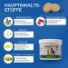 Nutrilabs Rascave Hepar Forte Tablets for Dogs - 90 pcs Liver Support B Vitamins & Dietary Supplements for Optimal Canine Health - Buy Online on GoSupps.com