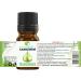 Cardamom Essential Oil 5ml | 100% Pure-natural | Use as an ingredient in cosmetic formulations | Sweet Rich Aroma Spicy Woody - Buy Online on GoSupps.com