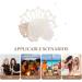 minkissy Hollow Shell Hair Clip Seashell Hair Clip Starfish Hair Clips Seashell Hairpin Beach Hair Accessories for Women Girls - Buy Online on GoSupps.com