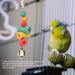 Ciciglow Colorful Bird Swing Toys - Parrot Swing with Stainless Steel Chain Ladder Bells & Balls - Ideal for Birds - Buy Online on GoSupps.com