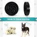 Large Non-Slip Slow Feeder Dog Bowl | Interactive Maze Puzzle for Healthy Eating | Prevents Choking and Bloating | Black - Buy Online on GoSupps.com