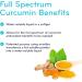 Sisu Full Spectrum Curcumin 60 Liquid Softgels - Water Soluble Antioxidant with NovaSOL - Bioavailable Antioxidant Support - Non-GMO - Corn Gluten & Dairy Free - 60 Servings - Buy Online on GoSupps.com