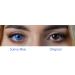 Buy Charmiga Sunny Blue Colored Contact Lenses | 0.0 Diopters | Soft Hydrogel | 2 Pack with Containers | Natural Blue Shades for a Stunning Look - Buy Online on GoSupps.com