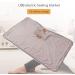 Anggrek USB Heating Ceiling Blanket - Portable Washable 5V Thermostatic Warming - Cute Bear Striped Gray for Home Use - Buy Online on GoSupps.com