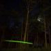 XLZKJ 9PCS S Lighted Nocks .244 ID Automatic Compound Bow Arrow Nocks Green for Hunting - Buy Online on GoSupps.com