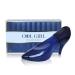 Cool Girl Blue Women Perfume Long Lating Eau De Parfum Fresh And Trendy Natural Spray Fragrance For Effortless Chic 3.4 Fl Oz For Daily Used Cool Girl Blue 3.4 Fl Oz (Pack of 2)