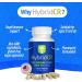 HybridCR Rapid Immune Boost Defense | 5-In-1 Immune Support Supplement with Zinc, Echinacea, Andrographis, Ginseng, Selenium | Pharmacist Formulated | 30 Veggie Caps - Buy Online on GoSupps.com