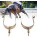 ZJchao Salmue Horse Spurs West Cowboy Horse Boot Spurs Decoration Western Spurs Rust Proof Toxic Free Vintage Zinc Alloy Horse Spurs with Gear for Men - Buy Online on GoSupps.com