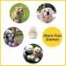 Rainbow-K9 12 Pack Dog Squeaky Toys Cute Plush Toys Stuffed Fruits Vegetables Dog chew Toy Squeaky Dog Toys for Puppy Small Dog Pets - Buy Online on GoSupps.com
