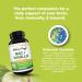 NAC Supplement 600mg Amino Acids - Vanilla Flavor for Liver and Kidney Cleanse | High Absorption N-Acetyl Cysteine for Detox Support - Buy Online on GoSupps.com
