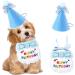 Fashion Pet Collar Dog Pet cat birthday hat Dog Birthday Accessories Dog cat pet spit pocket towel Floral Necklace with Hat Dog Birthday Suit Dog Birthday Scarf and Hat - Buy Online on GoSupps.com