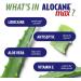 Alocane Emergency Burn Gel - 4% Lidocaine Maximum Strength for Fast Pain Relief - 2.5 Fl Oz - First Aid Treatment for Minor Burns, Sunburn, Kitchen, Radiation, Chemical Burns - Buy Online on GoSupps.com