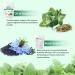 GEHALUKS Oil of Oregano with Black Seed Oil Softgels | 6000mg | Non-GMO Gluten Free | Antioxidant & Seasonal Wellness Support | 300 Capsules-001 - Buy Online on GoSupps.com