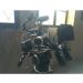 PROAIM MB-600 Sunshade Mattebox for Camera Lenses up to 95mm | 15mm Rails, Top Flag, Side Flags, Knicker, 2 Filter Holders, Format Masks | Tool-Less Design (P-MB-600) - Buy Online on GoSupps.com