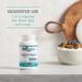 Nutricology Super B Vitamins - 120 Vegetarian Capsules for Energy & Health - Buy Online on GoSupps.com