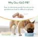 Ocu-GLO PB Vision Supplement - Lutein, Omega-3, Grape Seed Extract, Antioxidants for Small Dogs & Cats - Buy Online on GoSupps.com