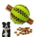 Pawsonly Feeding Ball for Dogs |Dog toy intelligence ball |Dog ball for small medium -sized large dogs |Puppy toy |Dental care dogs toys (small 6 cm green) small 6 cm green green