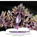 Lurrose Vintage Baroque Queen Crown | Purple Violet Crystal Tiara | Rhinestone Wedding & Gothic Headpiece for Women & Girls - Buy Online on GoSupps.com