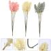 Zerodeko 36 Pcs Artificial Corn Ear Fake Flower Rustic Decor Wheat Ear Crafts Harvest Decoration Wedding Vases Natural Wheat Ear Wheat Ears Flowers Naturales Bride Display Plastic Air Dry Assorted Colorx2pcs 30X1.5CMx2pcs - Buy Online on GoSupps.com